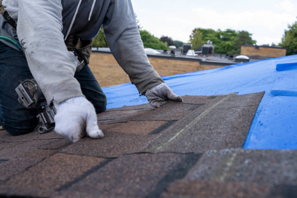Professional Roofing Contractor in Prairie Grove, AR